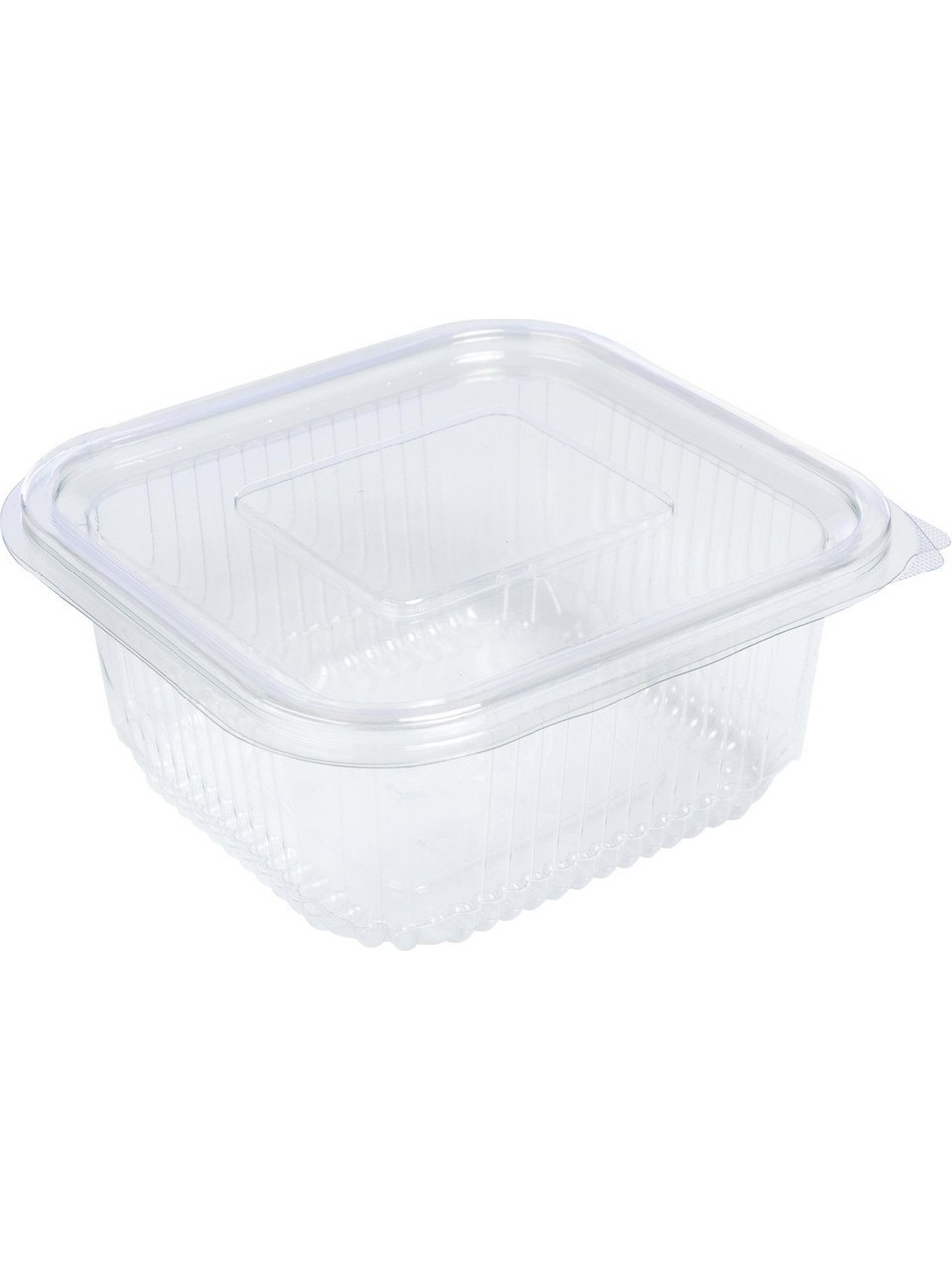 Sızdırmaz Kap 250 Gr 100 lü  