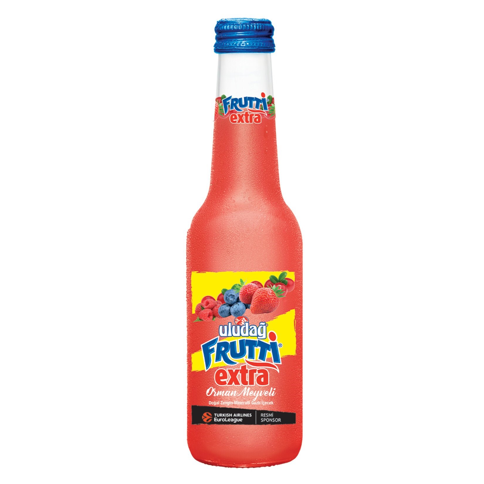 Uludağ Frutti Extra Orman Meyveli 250 Ml 