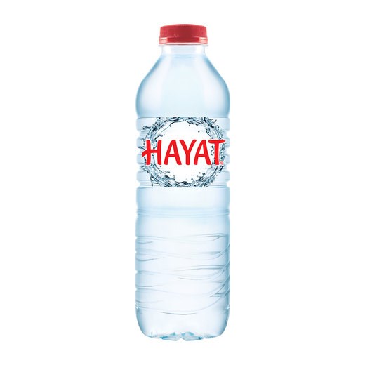 Hayat Su 0,5 Lt 